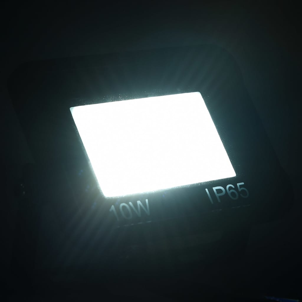 Spotlight LED 10 W koudwit
