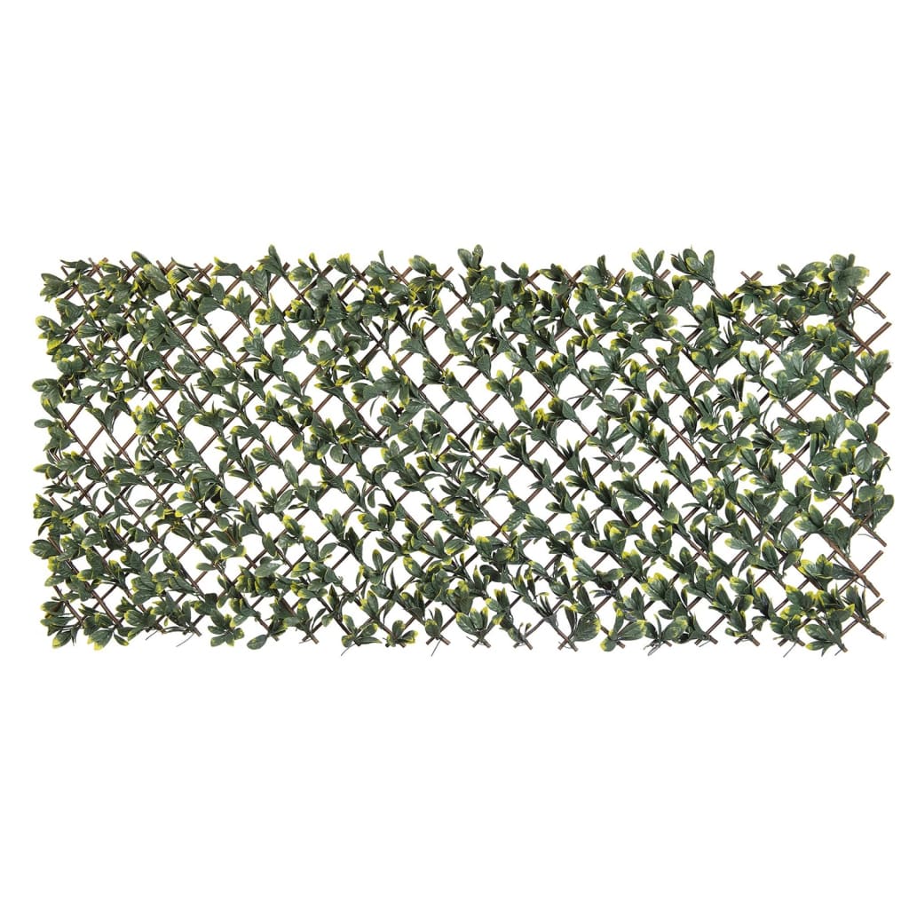 Nature Latwerk met California liguster groen en geel blad 90x180 cm Tuinbogen, latwerk & pergola's | Creëer jouw Trendy Thuis | Gratis bezorgd & Retour | Trendy.nl