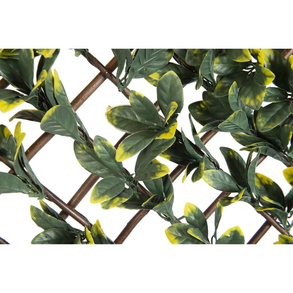 Nature Latwerk met California liguster groen en geel blad 90x180 cm Tuinbogen, latwerk & pergola's | Creëer jouw Trendy Thuis | Gratis bezorgd & Retour | Trendy.nl