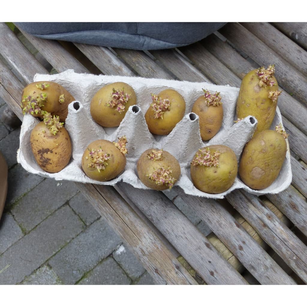 Nature Aardappelkweekzak 37 L antracietkleurig Tuinieren | Creëer jouw Trendy Thuis | Gratis bezorgd & Retour | Trendy.nl