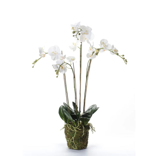 Emerald Kunstplant orchidee met mos wit 90 cm 20.355 Kunstplanten | Creëer jouw Trendy Thuis | Gratis bezorgd & Retour | Trendy.nl