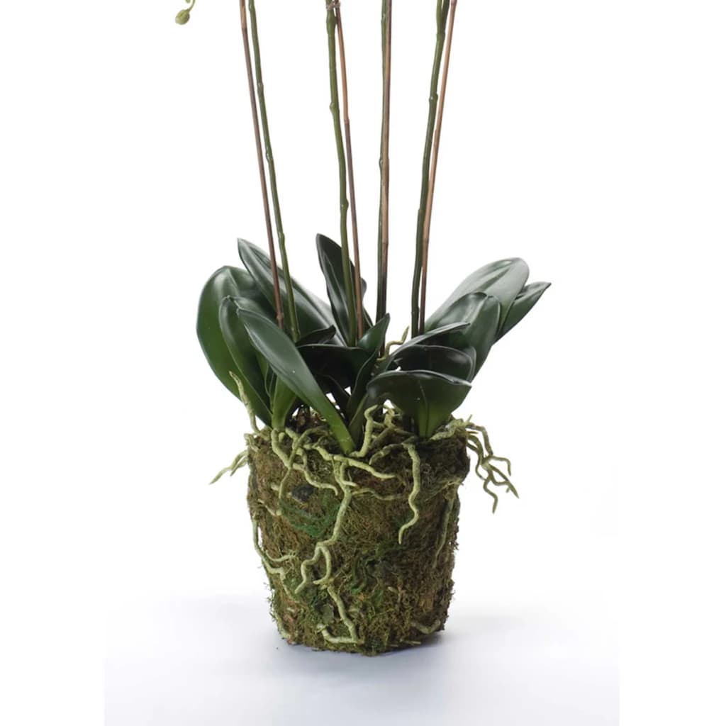 Emerald Kunstplant orchidee met mos wit 90 cm 20.355 Kunstplanten | Creëer jouw Trendy Thuis | Gratis bezorgd & Retour | Trendy.nl