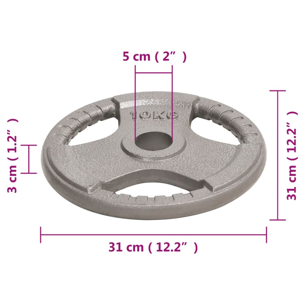 Halterschijven 2 st 20 kg gietijzer