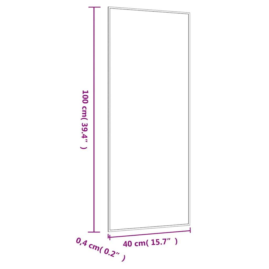 Wandspiegel 40x100 cm rechthoekig glas