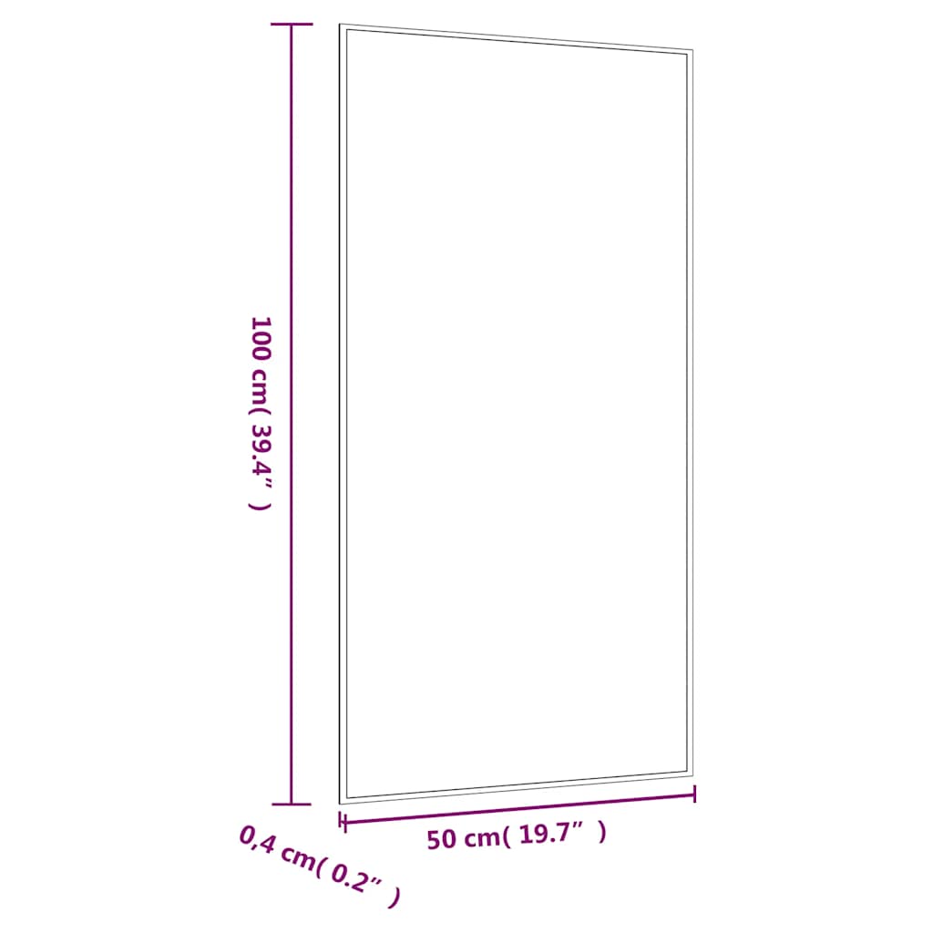 Wandspiegel 50x100 cm rechthoekig glas