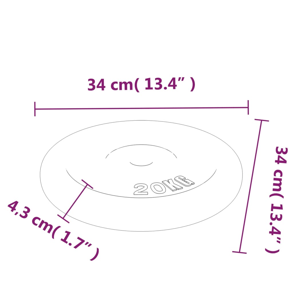 Halterschijf 40 kg gietijzer Losse gewichten | Creëer jouw Trendy Thuis | Gratis bezorgd & Retour | Trendy.nl