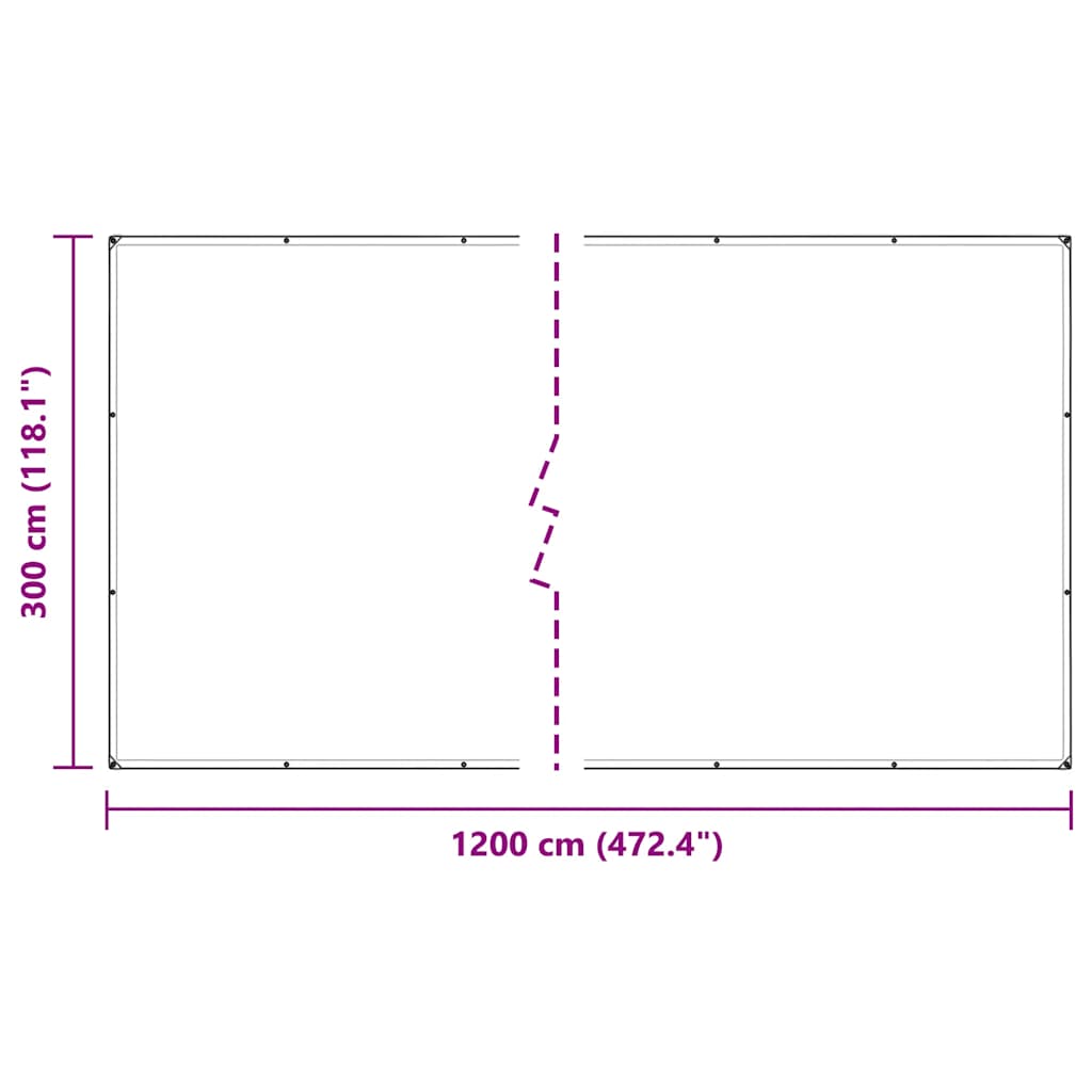 Doorzichtig zeildoek met zeilringen 3x10 m PVC