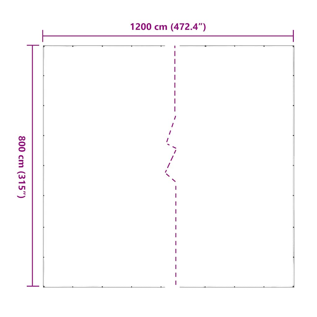 Doorzichtig zeildoek met zeilringen 6x12 m PVC