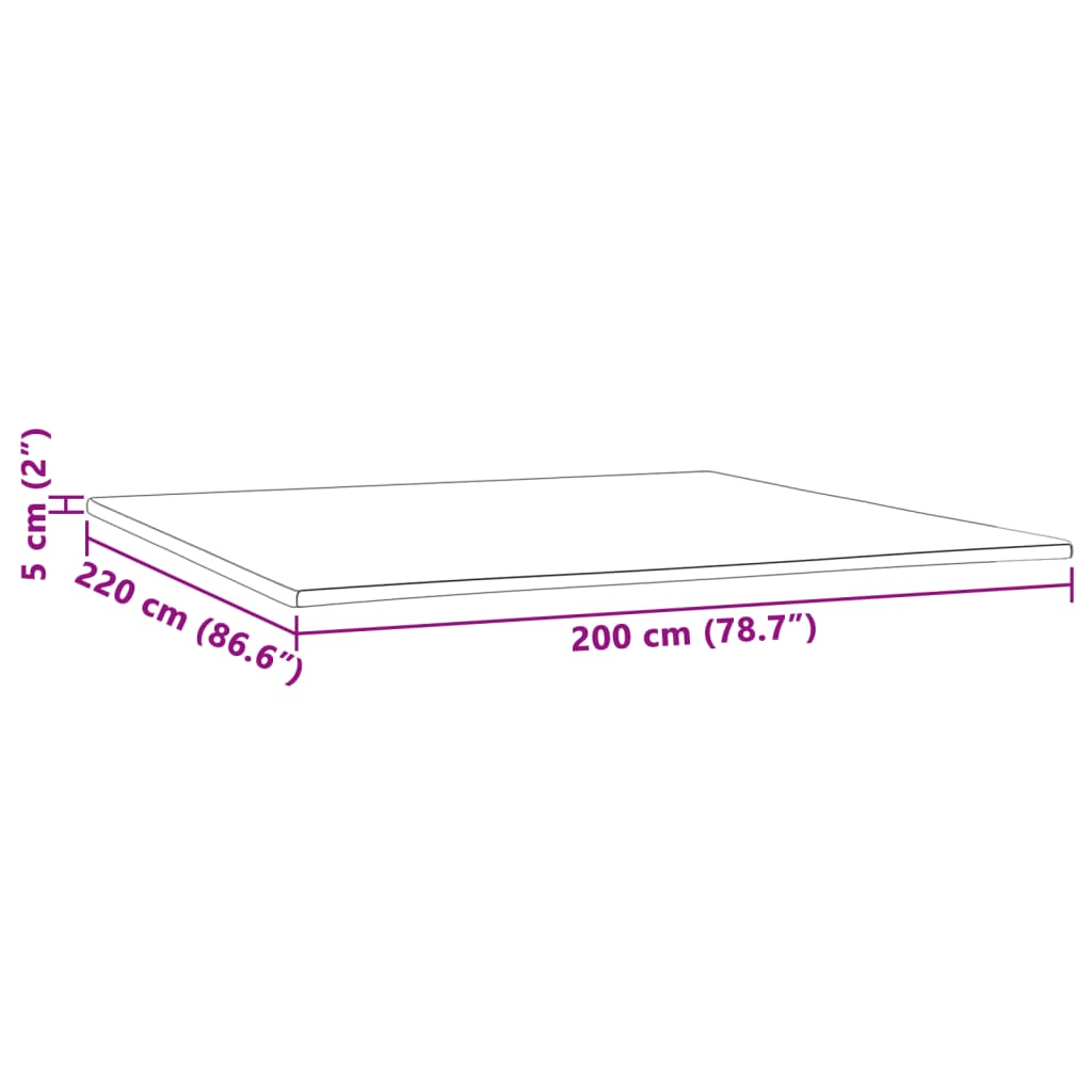 Matrastopper 200x220x5 cm