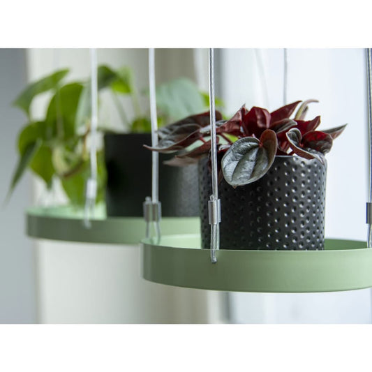 Esschert Design Plantenblad hangend rond S groen Sierschalen | Creëer jouw Trendy Thuis | Gratis bezorgd & Retour | Trendy.nl