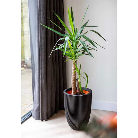 Capi Bloempot Groove elegant 34x46 cm zwart Bloempotten & plantenbakken | Creëer jouw Trendy Thuis | Gratis bezorgd & Retour | Trendy.nl