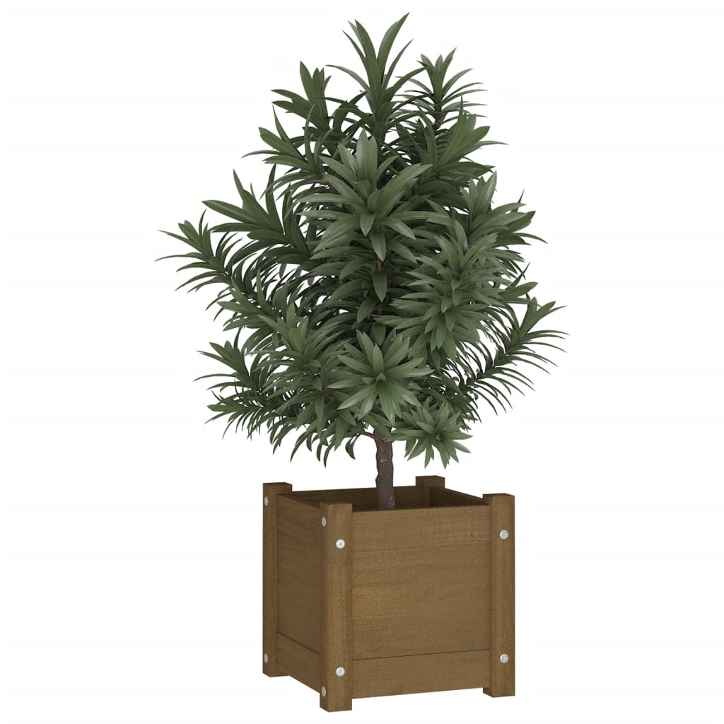 Plantenbak 31x31x31 cm massief grenenhout honingbruin Bloempotten & plantenbakken | Creëer jouw Trendy Thuis | Gratis bezorgd & Retour | Trendy.nl