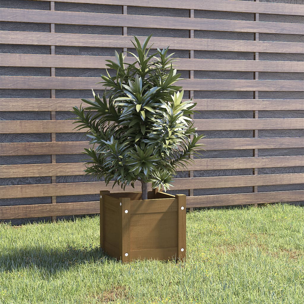 Plantenbak 31x31x31 cm massief grenenhout honingbruin Bloempotten & plantenbakken | Creëer jouw Trendy Thuis | Gratis bezorgd & Retour | Trendy.nl