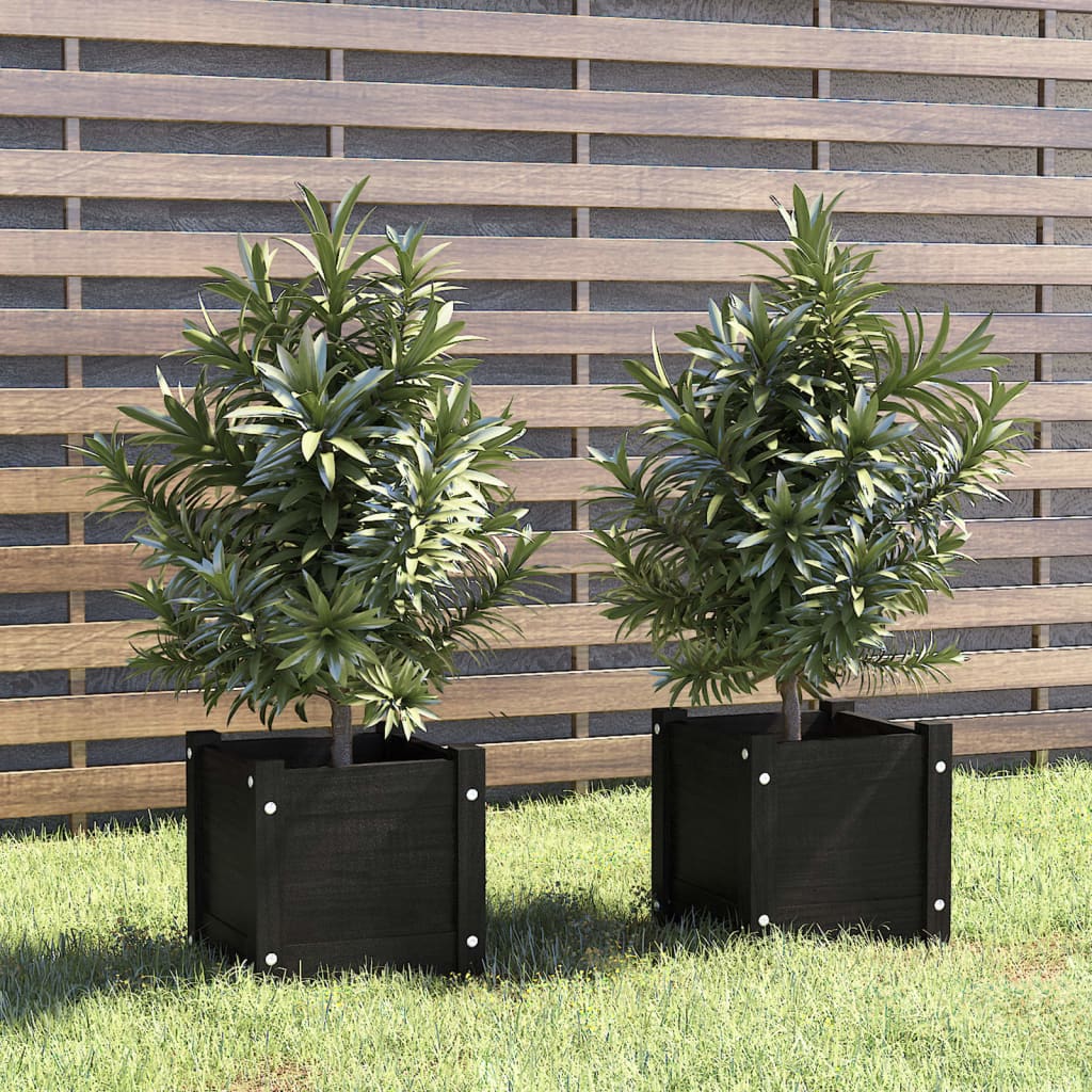 Plantenbakken 2 st 31x31x31 cm massief grenenhout zwart Bloempotten & plantenbakken | Creëer jouw Trendy Thuis | Gratis bezorgd & Retour | Trendy.nl