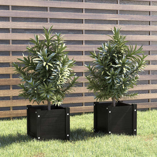 Plantenbakken 2 st 31x31x31 cm massief grenenhout zwart Bloempotten & plantenbakken | Creëer jouw Trendy Thuis | Gratis bezorgd & Retour | Trendy.nl