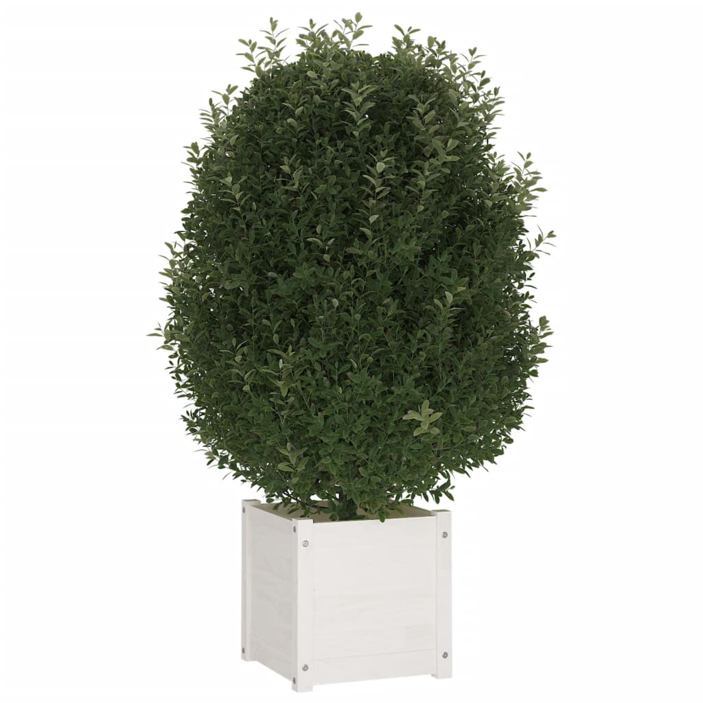 Plantenbak 40x40x40 cm massief grenenhout wit Bloempotten & plantenbakken | Creëer jouw Trendy Thuis | Gratis bezorgd & Retour | Trendy.nl