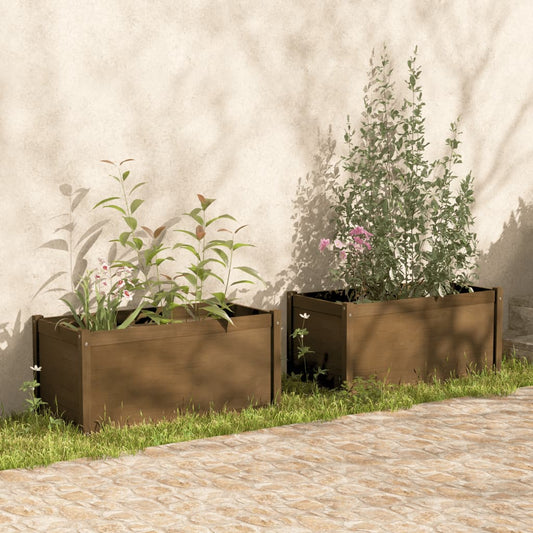 Plantenbakken 2 st 100x50x50 cm massief grenenhout honingbruin Bloempotten & plantenbakken | Creëer jouw Trendy Thuis | Gratis bezorgd & Retour | Trendy.nl